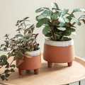 Halston Pot - Sprouts of Bristol