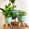 Handmade Turquoise Gaby Pot on Stand - Various Sizes - Sprouts of Bristol