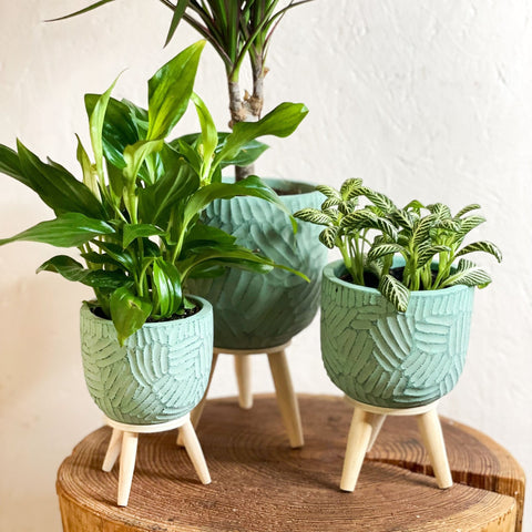 Handmade Turquoise Gaby Pot on Stand - Various Sizes - Sprouts of Bristol