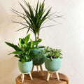 Handmade Turquoise Gaby Pot on Stand - Various Sizes - Sprouts of Bristol