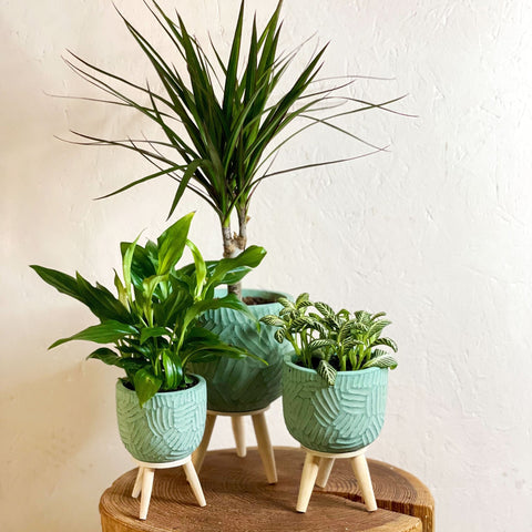Handmade Turquoise Gaby Pot on Stand - Various Sizes - Sprouts of Bristol