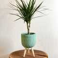Handmade Turquoise Gaby Pot on Stand - Various Sizes - Sprouts of Bristol