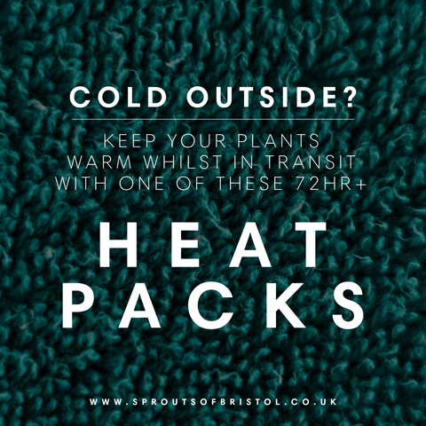 Heat Pack for Plants (72+ hours) - Sprouts of Bristol