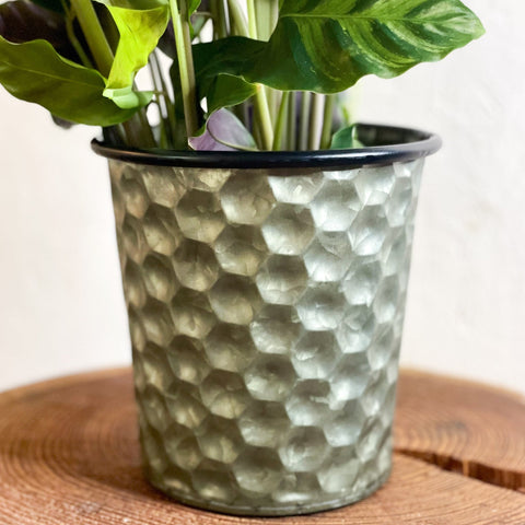 Hexagonal Zinc Metal Planter - Various Sizes - Sprouts of Bristol
