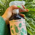 Houseplant Refresh Spray (500ml plastic spray bottle) - Sprouts of Bristol