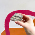 Maple Bark Stone 30mm-60mm - Terrarium Supplies - Sprouts of Bristol