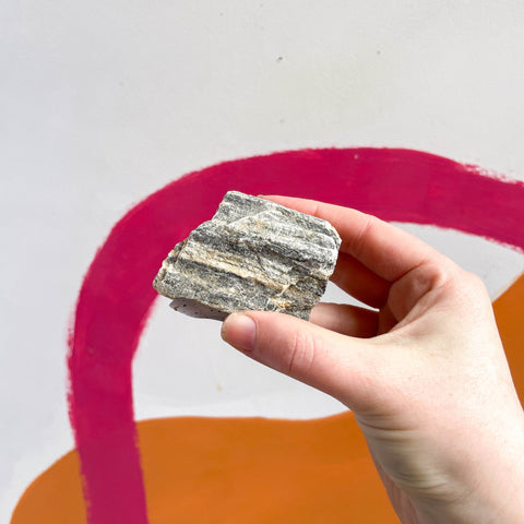 Maple Bark Stone 30mm-60mm - Terrarium Supplies - Sprouts of Bristol