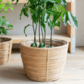 Mayfield Plant Pot - Sprouts of Bristol