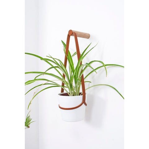 Medium Peg Wall Planter - Sprouts of Bristol