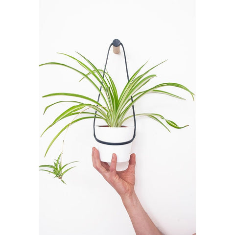 Medium Peg Wall Planter - Sprouts of Bristol