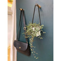 Medium Peg Wall Planter - Sprouts of Bristol