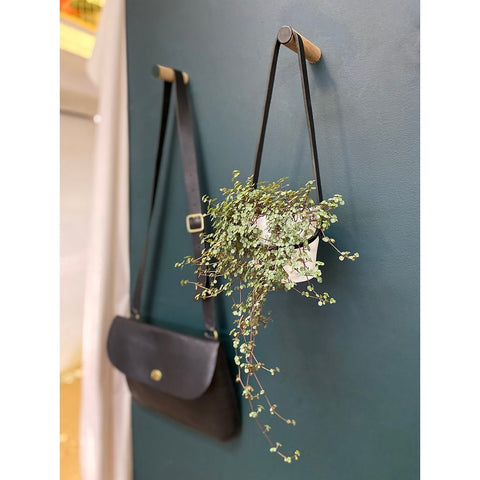 Medium Peg Wall Planter - Sprouts of Bristol
