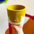 Muted Yellow and White Jesmonite Pot - Sprouts of Bristol
