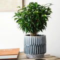 Onno Planter in Denim Blue - Sprouts of Bristol