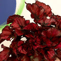 Painted Leaf - Begonia 'Regal Minuet' - Sprouts of Bristol