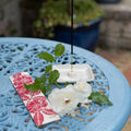 Parijat (Night-flowering Jasmine) Fairtrade Incense - Sweet, Floral and Fruity - Sprouts of Bristol