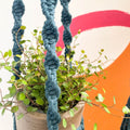 Peacock Blue Macrame Plant Hanger - Sprouts of Bristol