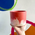 Pink and Putty Jesmonite Pot - Sprouts of Bristol