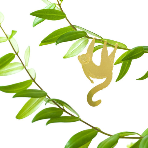 Plant Animal Lemur - Sprouts of Bristol
