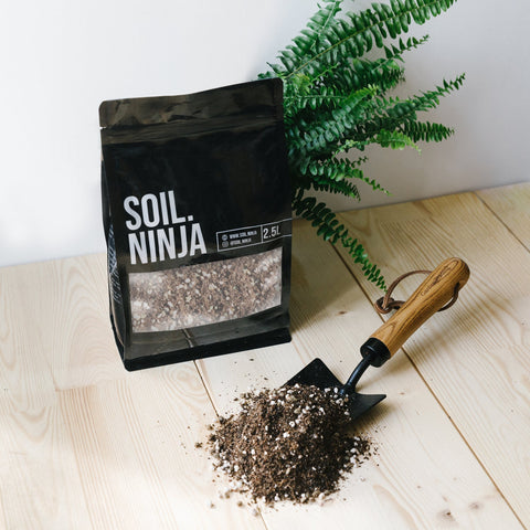 Premium Fern Soil Mix - Sprouts of Bristol