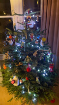 Premium Nordmann Fir Non-Drop Christmas Tree - UK Grown - Sprouts of Bristol