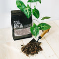 Premium Syngonium Soil Mix - Sprouts of Bristol