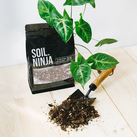 Premium Syngonium Soil Mix - Sprouts of Bristol