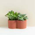 Rowan Double Planter - Sprouts of Bristol
