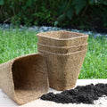 Rubberised Certified Organic Coir Seedling Pots: 5cm - Sprouts of Bristol