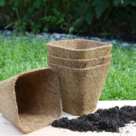 Rubberised Certified Organic Coir Seedling Pots: 5cm - Sprouts of Bristol