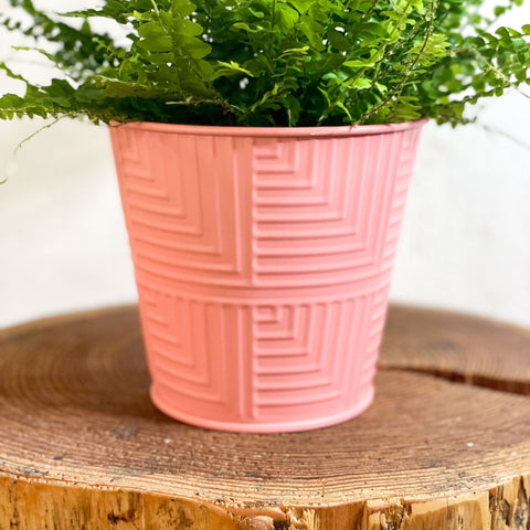 Salmon Pink Geometric Bucket Planter - 13cm - Sprouts of Bristol