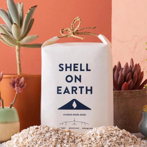 Shell on Earth - Crushed Whelk Shells - Sprouts of Bristol
