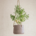 Stratton Hanging Pot - Sprouts of Bristol