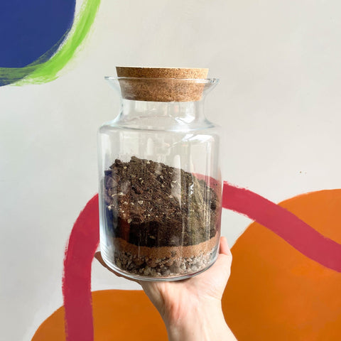 Terrarium DIY Kit [Make Your Own Terrarium with Optional Extras] Plastic Free Packaging! - Sprouts of Bristol