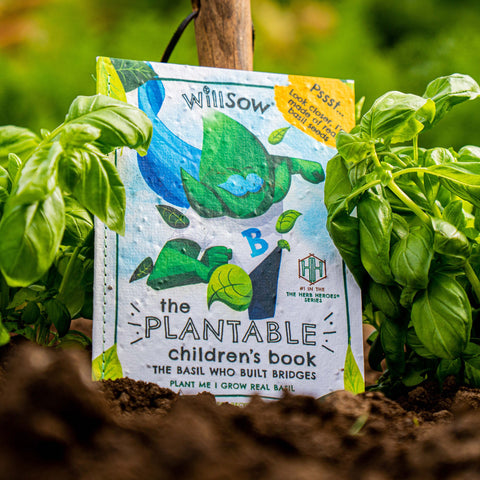 The Basil Who Built Bridges - Sprouts of Bristol