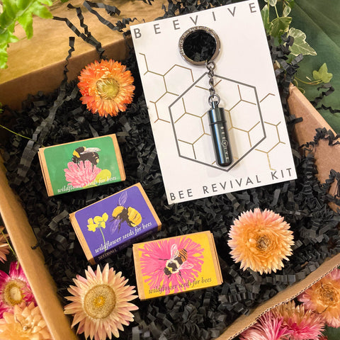 The Bee Saviour Gift Set - Beevive Keyring and Wildflower Seeds - Sprouts of Bristol