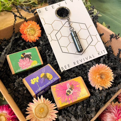 The Bee Saviour Gift Set - Beevive Keyring and Wildflower Seeds - Sprouts of Bristol