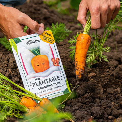 The Carrot Who Was Too Big For His Bed - Sprouts of Bristol