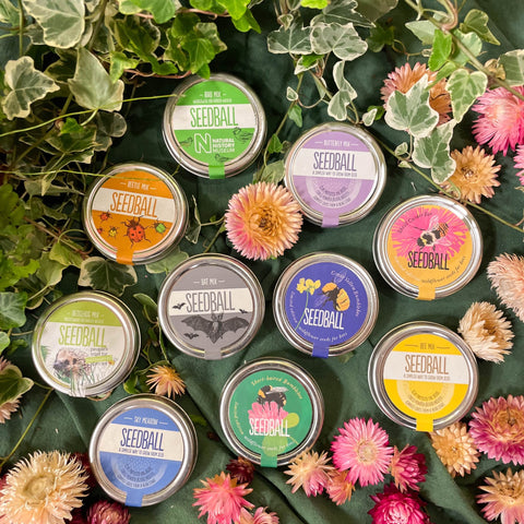The Nature Lover Mini Gift Set - Keyring and Wildflower Seeds - Choose your own! - Sprouts of Bristol