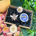 The Nature Lover Mini Gift Set - Wooden Keyring and Wildflower Seeds - Choose your own! - Sprouts of Bristol