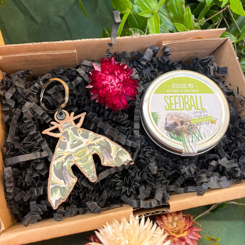The Nature Lover Mini Gift Set - Wooden Keyring and Wildflower Seeds - Choose your own! - Sprouts of Bristol