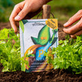 The Parsley Who Flew To The Rescue - Sprouts of Bristol