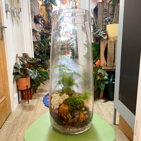 Tower Vase - Bioactive Terrarium - Sprouts of Bristol
