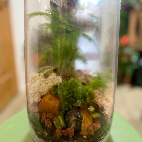 Tower Vase - Bioactive Terrarium - Sprouts of Bristol
