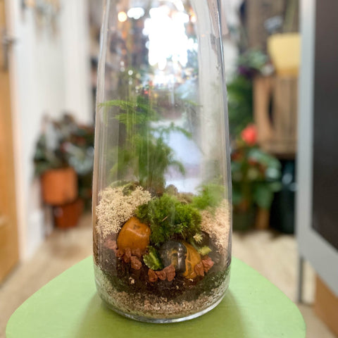 Tower Vase - Bioactive Terrarium - Sprouts of Bristol
