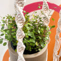 White Rainbow Dust Macrame Plant Hanger - Sprouts of Bristol