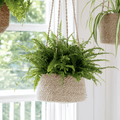 Woven Hanging Pot - Sprouts of Bristol