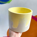 Yellow and Putty Jesmonite Pot - Sprouts of Bristol