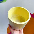 Yellow and Putty Jesmonite Pot - Sprouts of Bristol